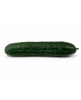 Pepino francés ecológico